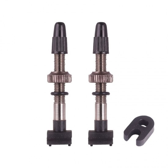 Catazer 2pcs Bicycle Tubeless Tire Presta Valve 40mm/60mm/80mm Alloy Stem Brass Core for Mountain Road Bikes