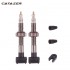 Catazer 2pcs Bicycle Tubeless Tire Presta Valve 40mm/60mm/80mm Alloy Stem Brass Core for Mountain Road Bikes