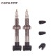 Catazer 2pcs Bicycle Tubeless Tire Presta Valve 40mm/60mm/80mm Alloy Stem Brass Core for Mountain Road Bikes