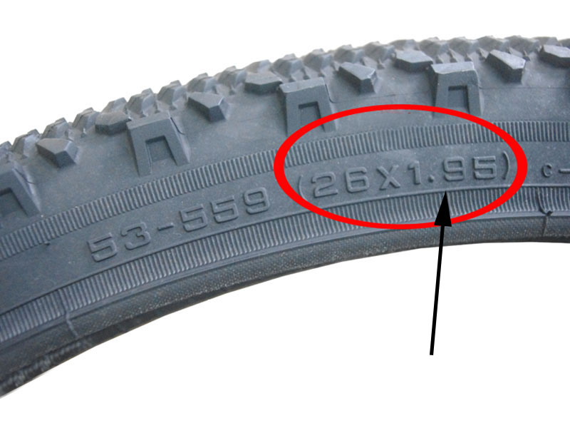 Catazer1Pcs24-32801649222